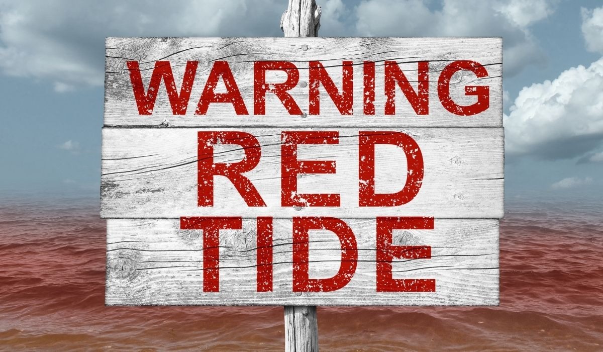 sign that says, warning red tide
