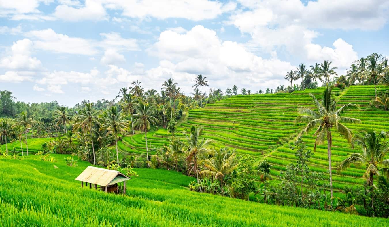 Jatiluwih Bali