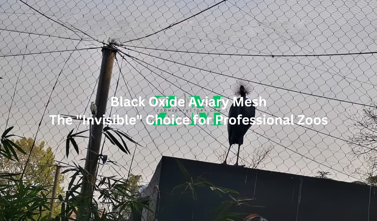 A professional zoo exhibit using black oxide aviary mesh to create an invisible barrier for tropical