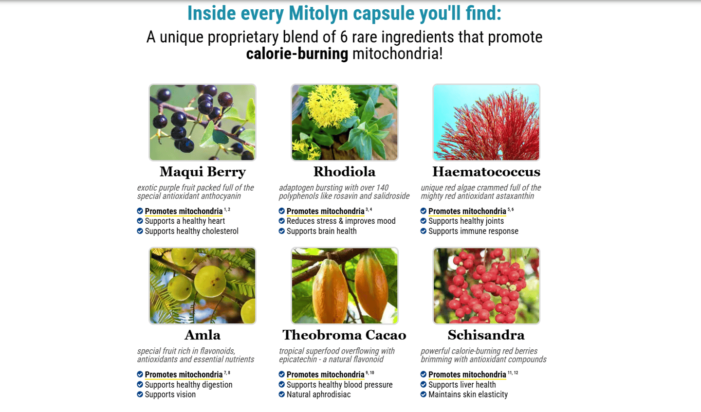 Mitolyn review, Mitolyn Price, Mitolyn Discount