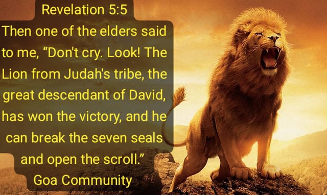 Lion Of The Tribe Of Judah