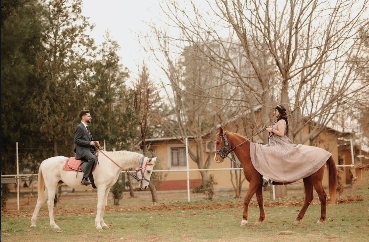 Göbeklitepe At Çiftiği