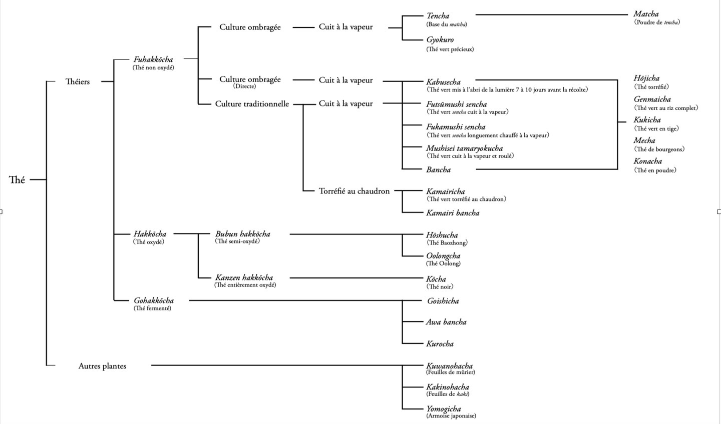 Classification du thé