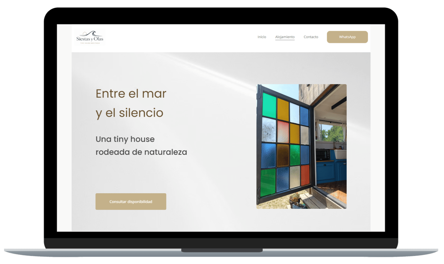Diseño web profesional Mar del Plata