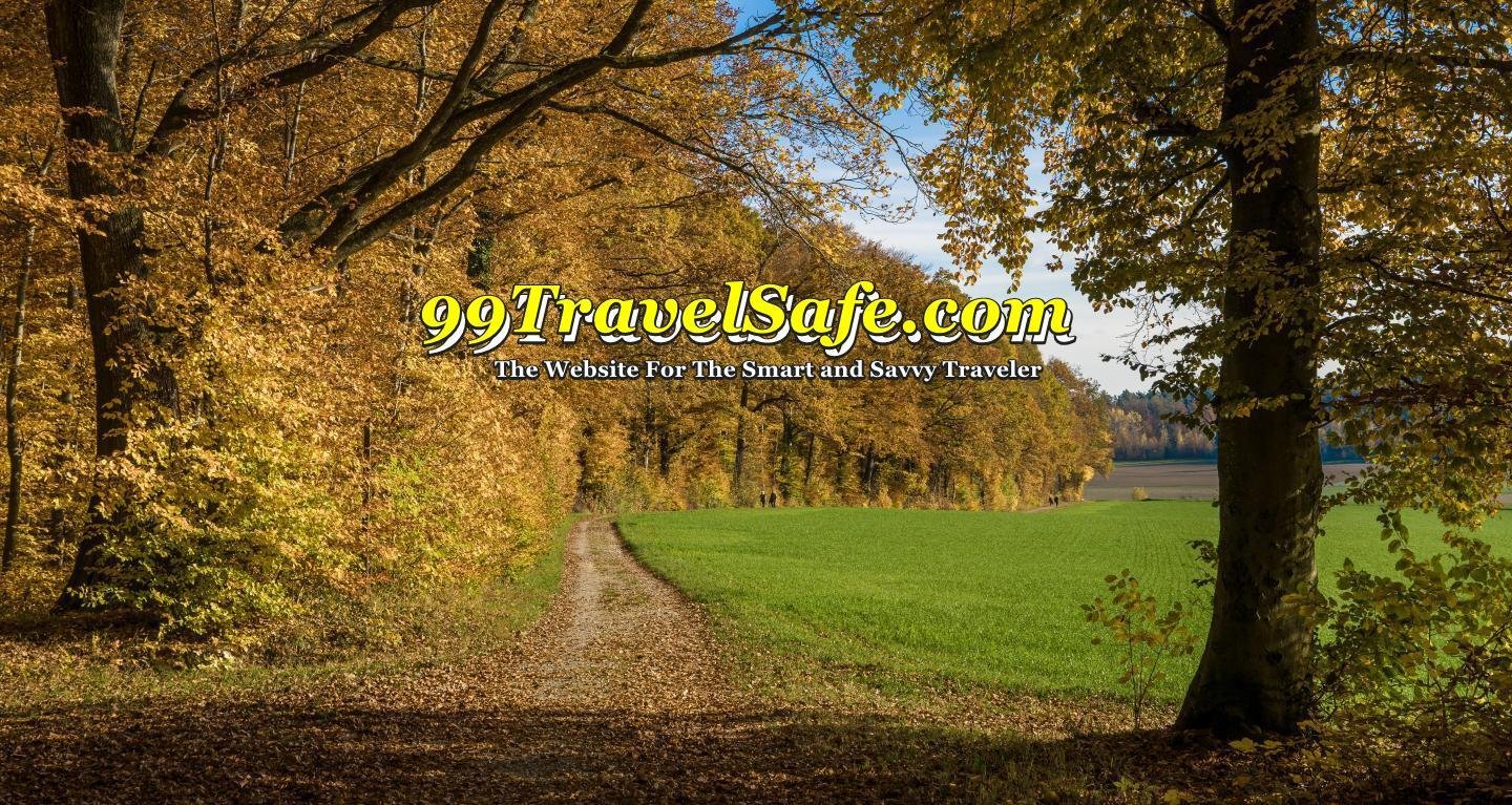 Travel Safety Tips from 99TravelSafe.com - The Website for The Smart and Savvy Traveler!