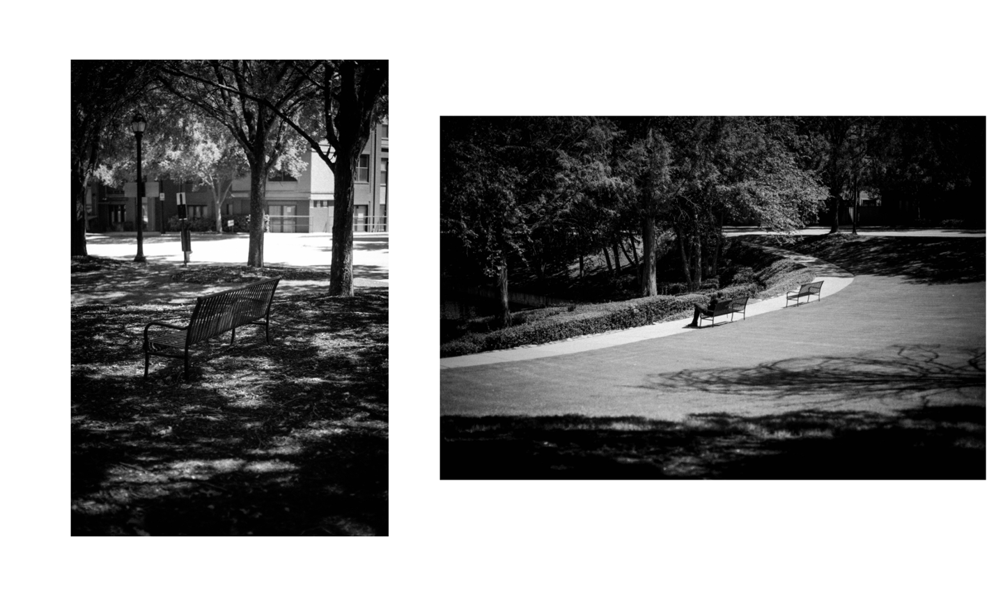 Black and white street photography of empty park benches on a university campus with trees and shadows.
