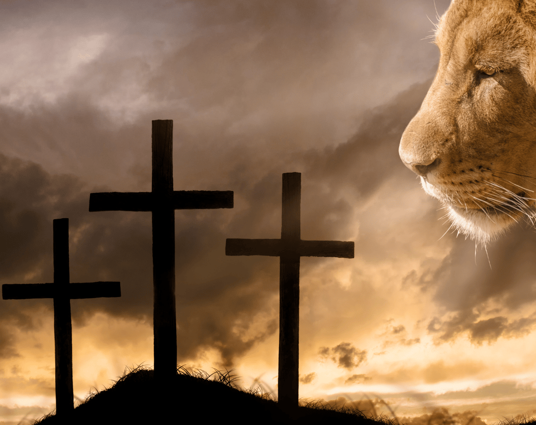 Trois croix, avec un lion avec un regard perçant 
