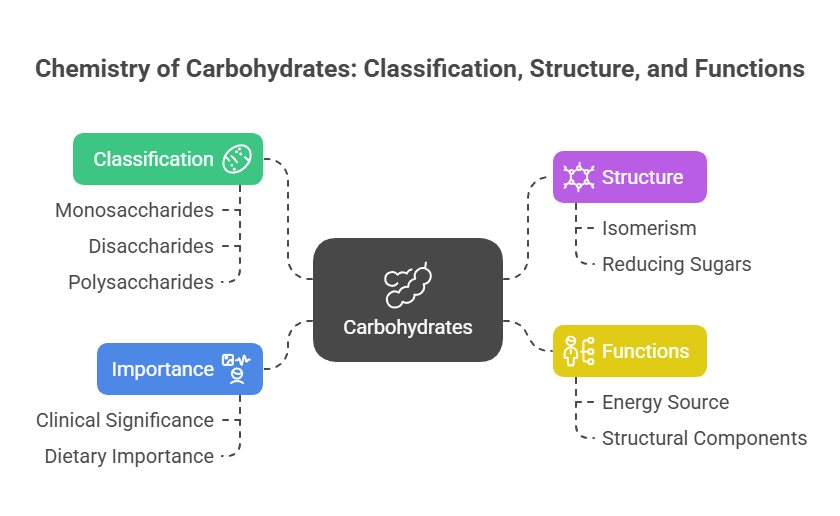 chemistry of carbohydrates