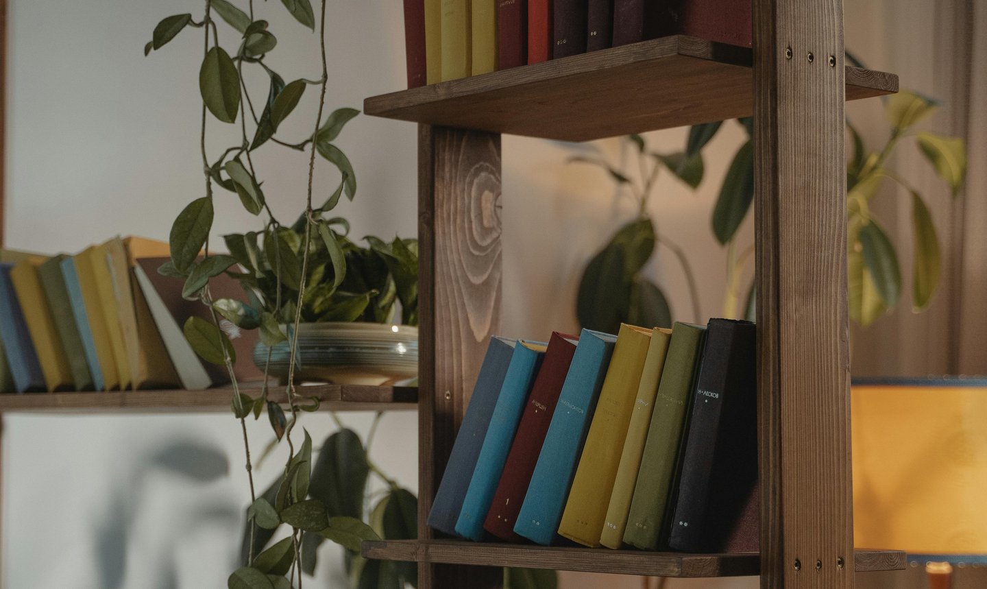 a book shelf with books and a plant in a room