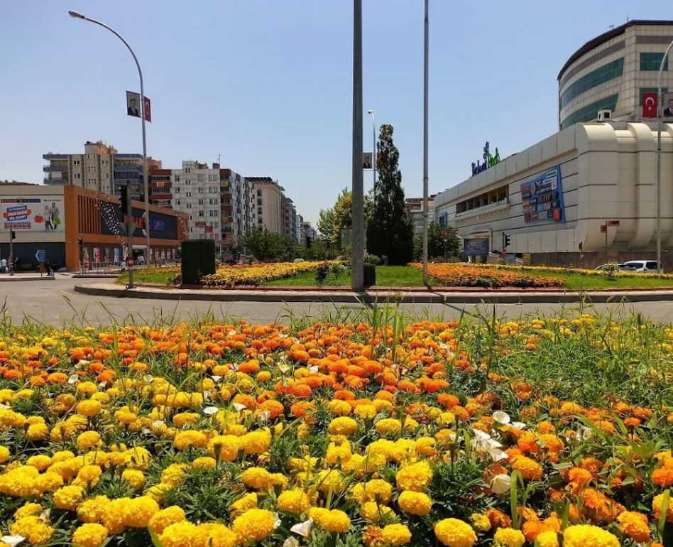 Ailece gezilecek keyifli rotalar