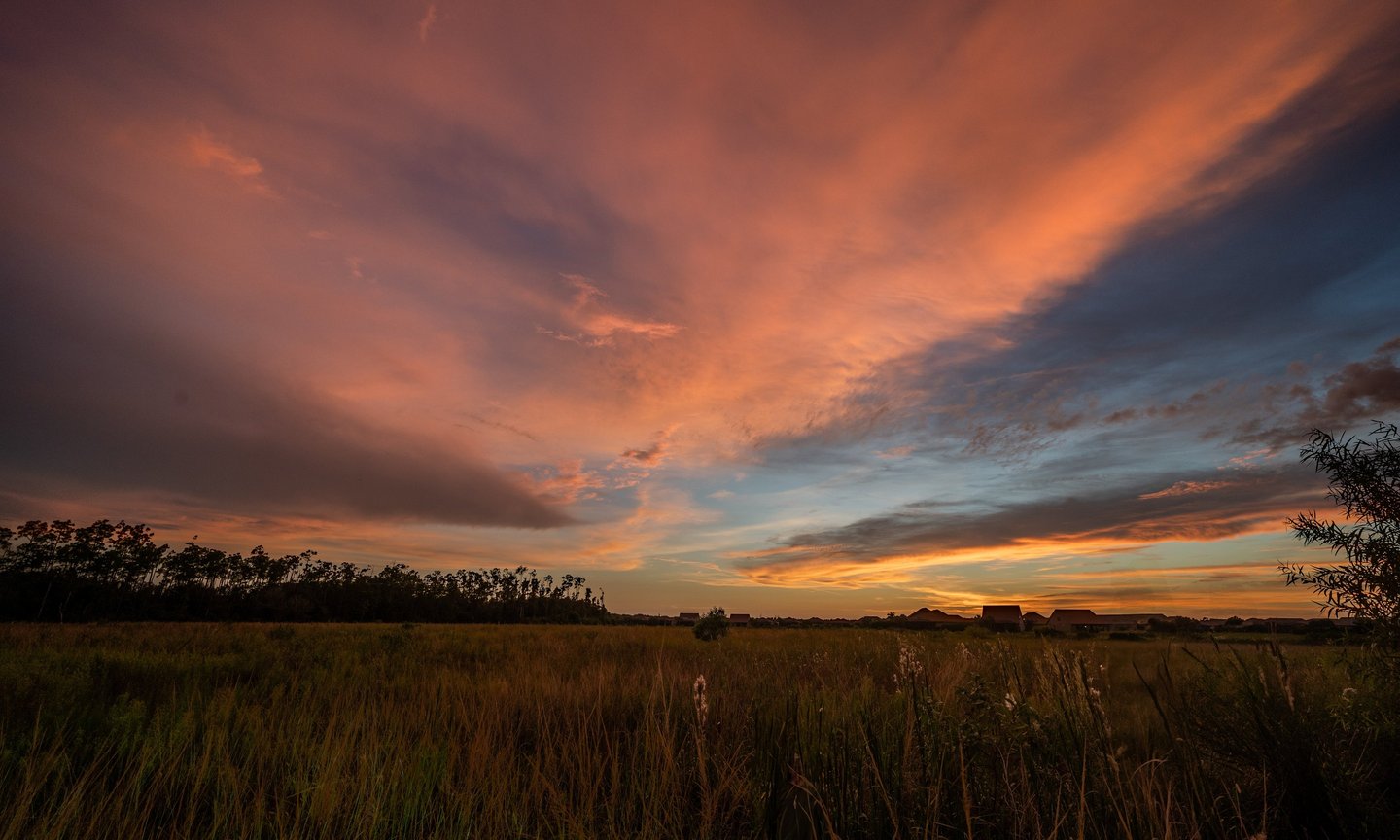 a dramatic cotton candy colored horizon at sunset in estero florida