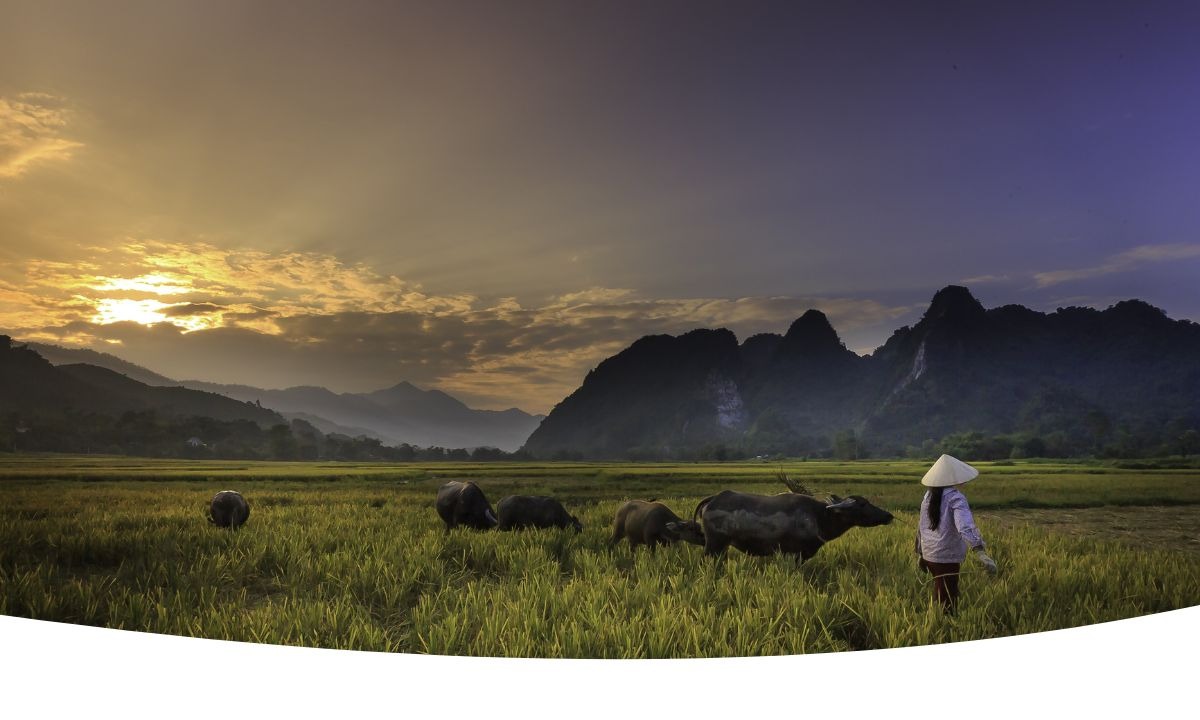 Paisagem rural da Ásia com vilarejos tradicionais, arrozais e montanhas ao fundo