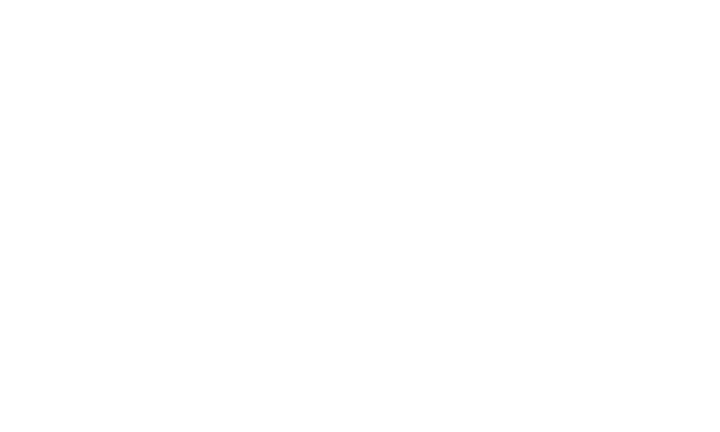 WayFinderX LLC Consulting Company Logo