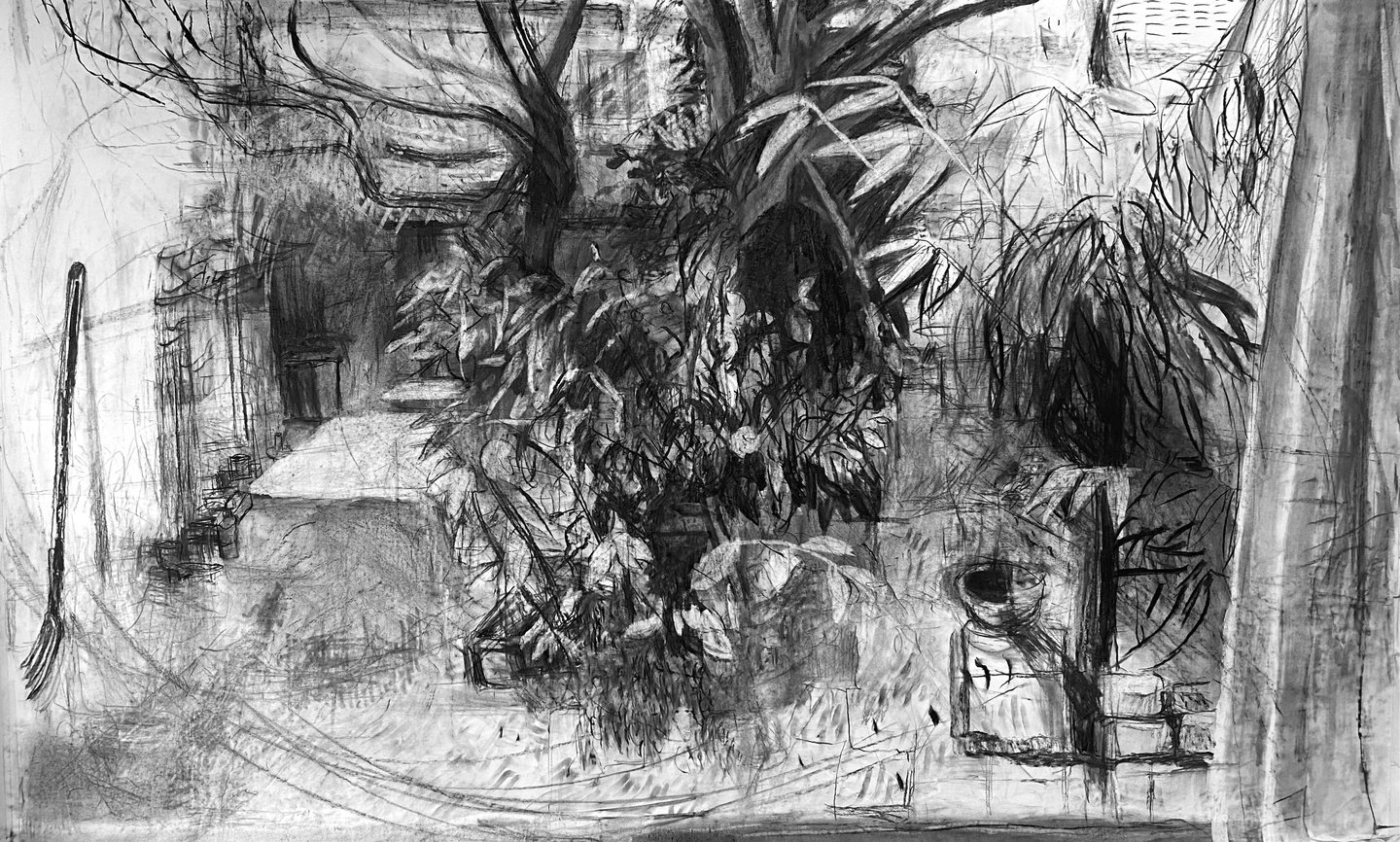 Galerie Maxime Allain Marine Bikard Partition du dehors fusain