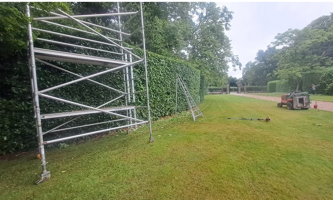 Hedge cutting in Northiam, East Sussex
