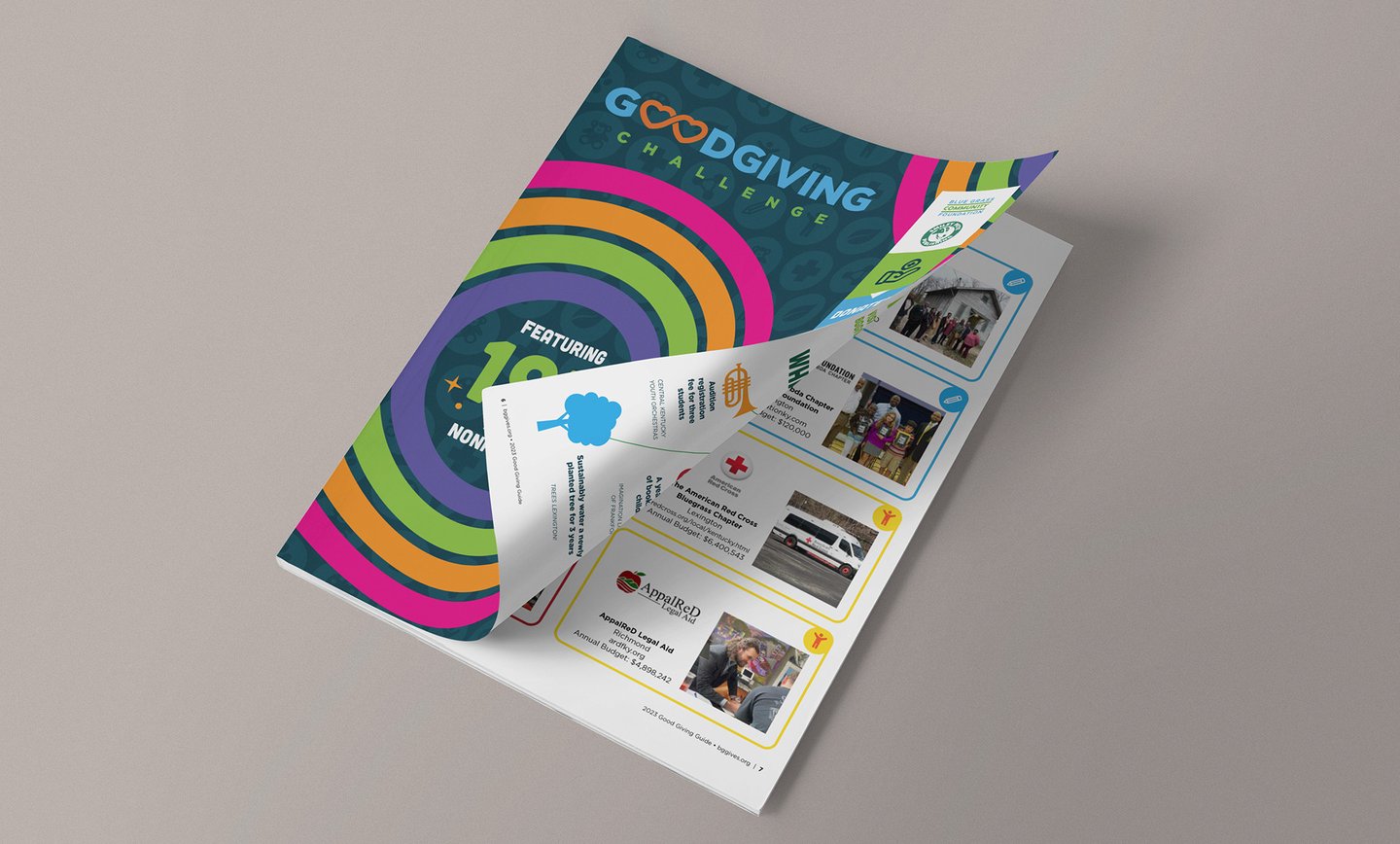 Magazine featuring local non profits