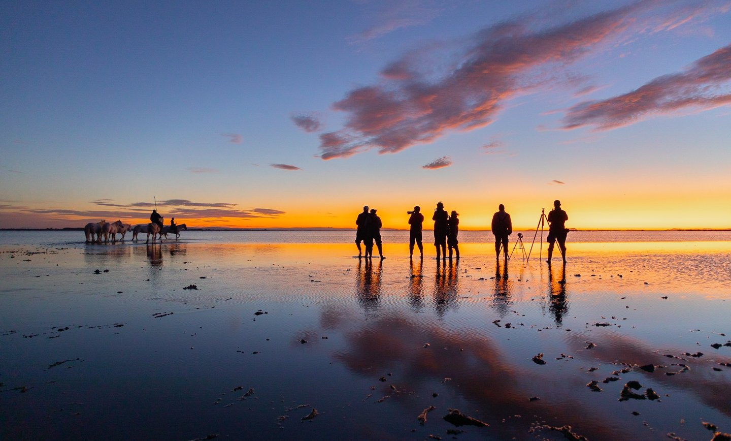 Photographers silhouetted against a golden sunrise in Camargue with white horses in the shallow water.
