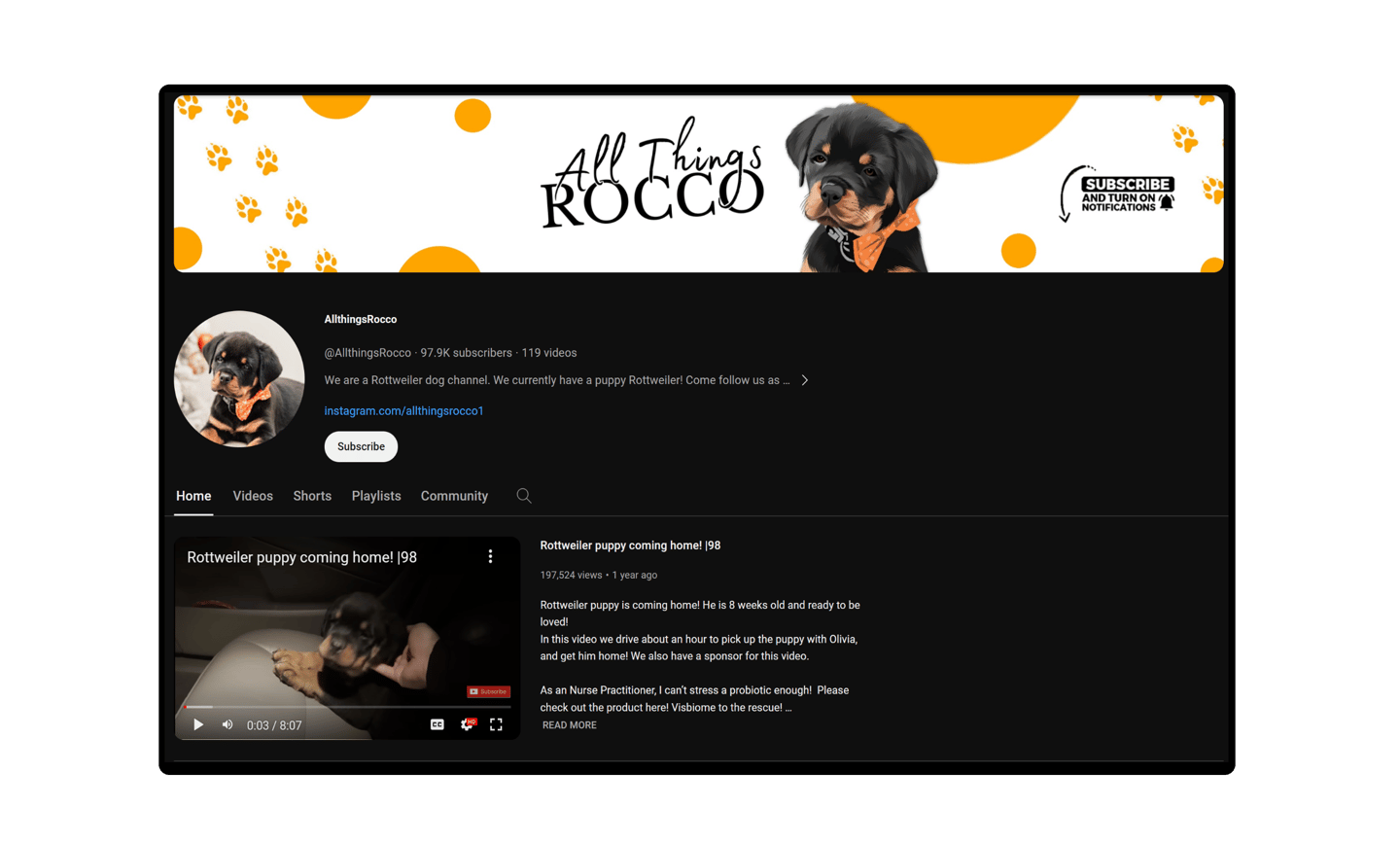 a dog sitting on a couch with a dog on the couch