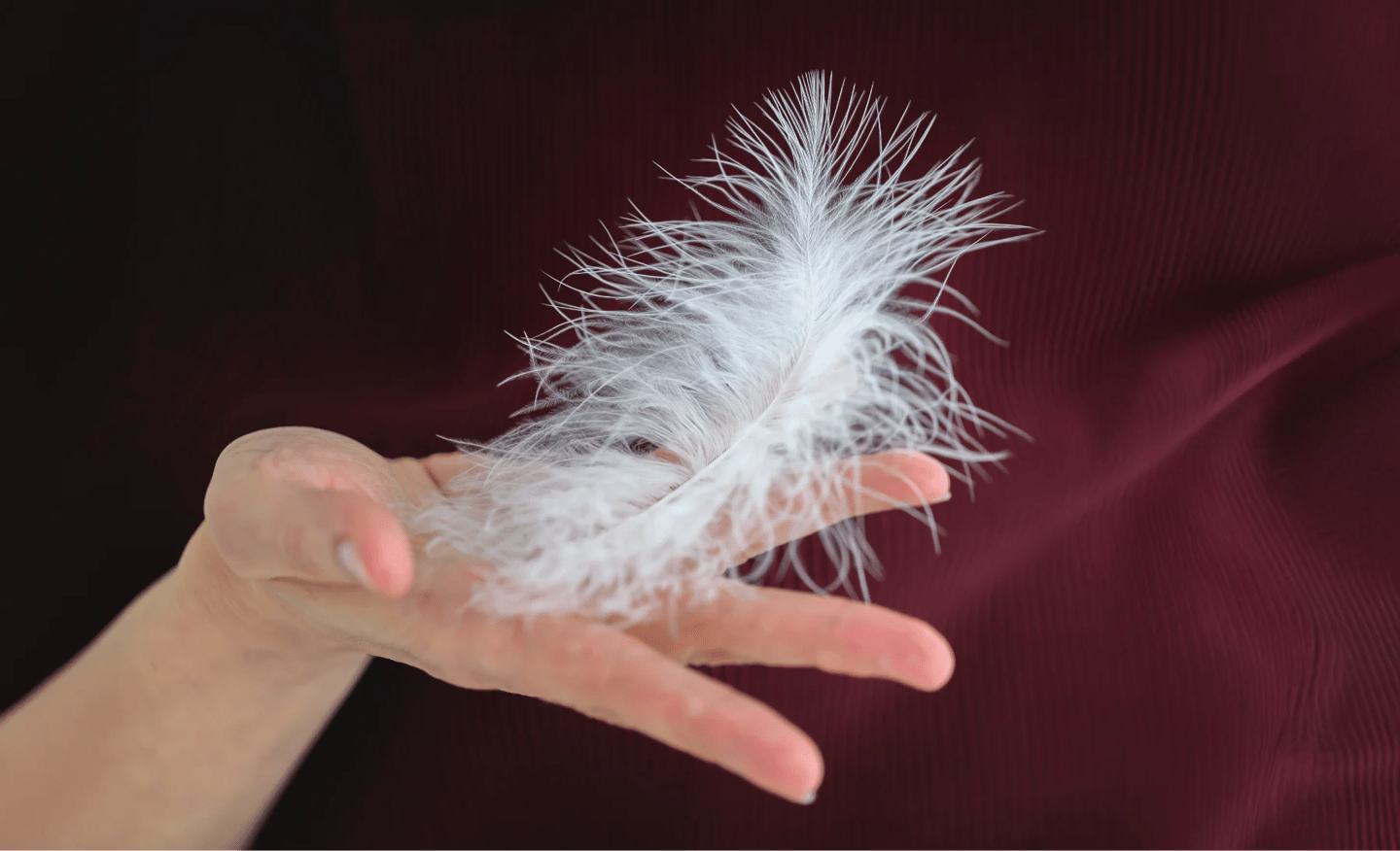 ThetaHealing mokymai - balta plunksna