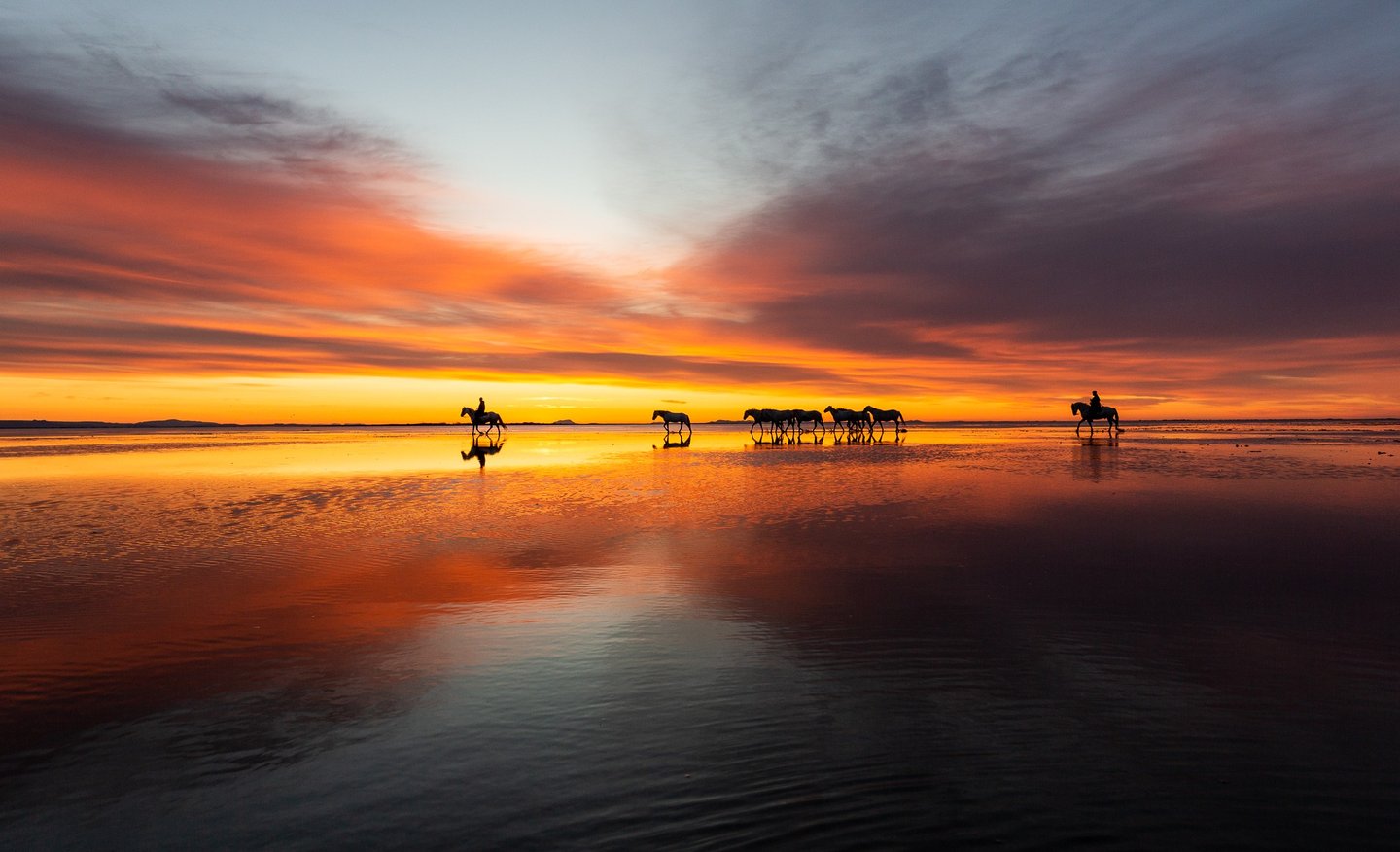 A group of silhouetted horses and riders walking across a calm lake at sunset with a vibrant orange and purple sky.