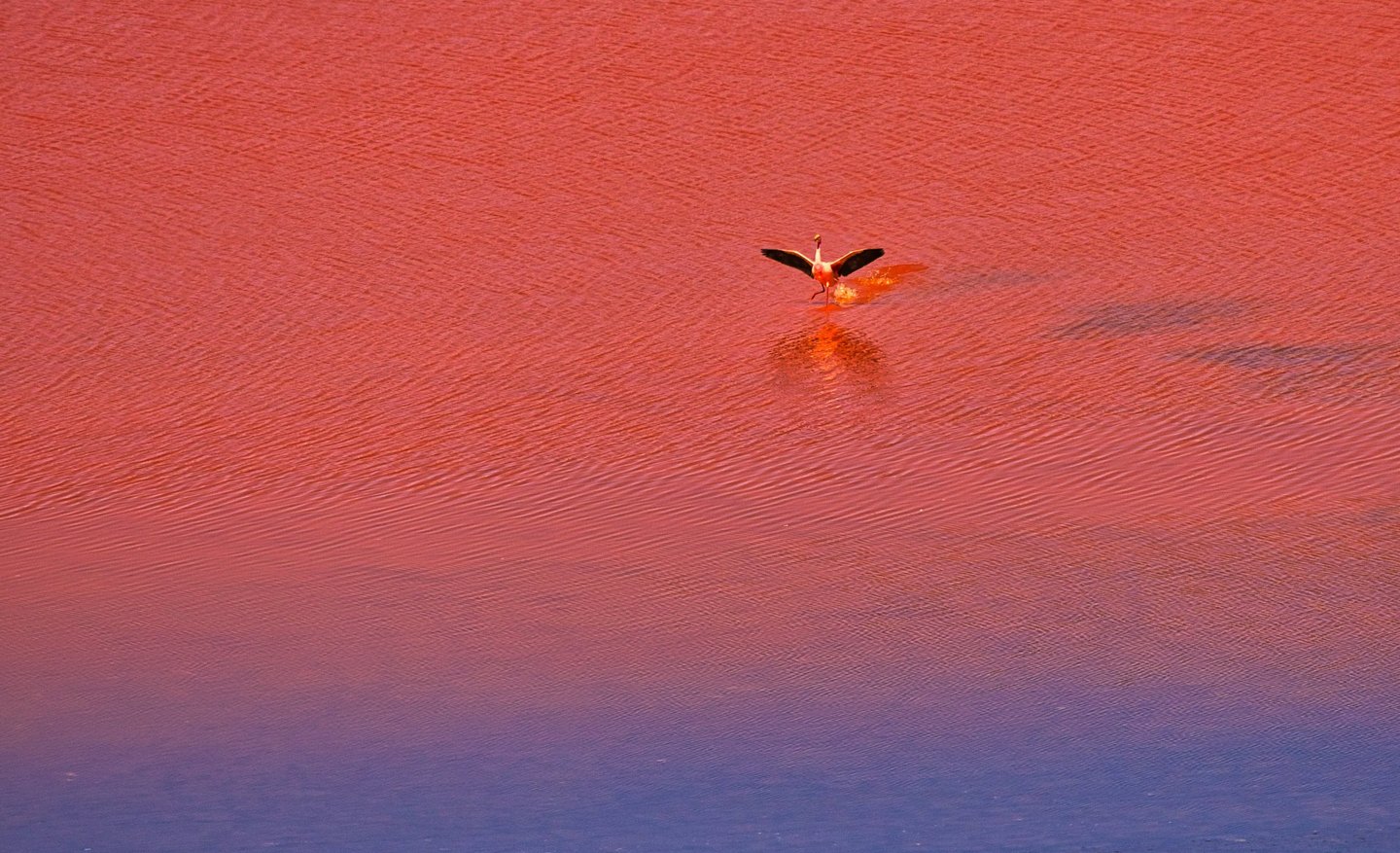 Uyuni Astro & Landscape Photography Expedition