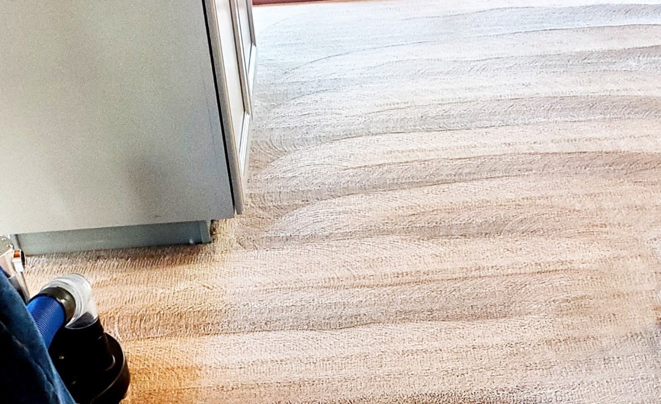 Beautiful Clean Cream Carpet with King Organic Clean, using the Tornado, Advanced Technology