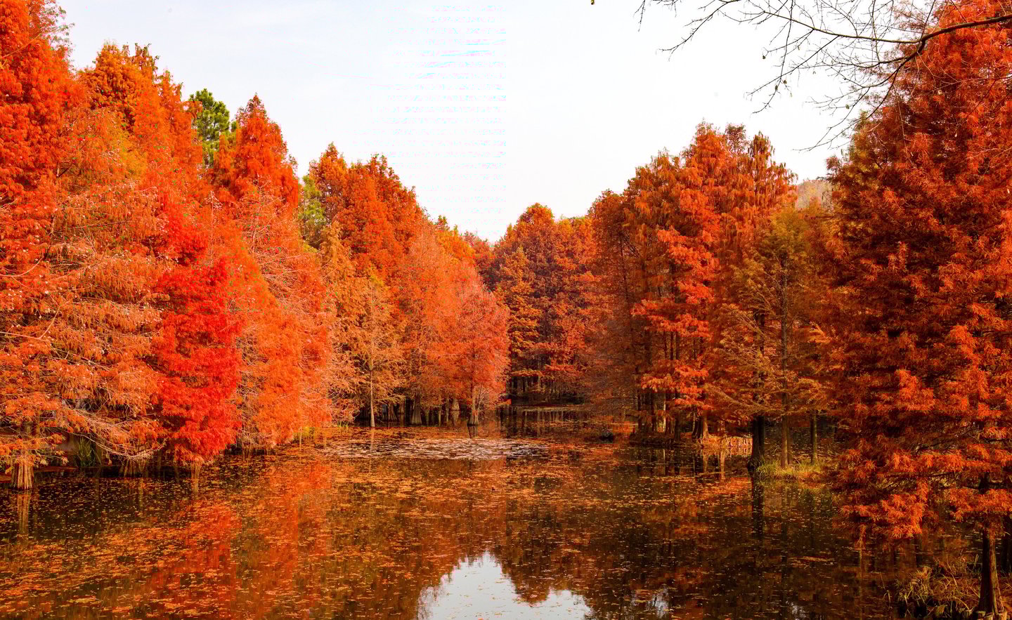 Sun Yat-Sen's Mausoleum, Nanjing