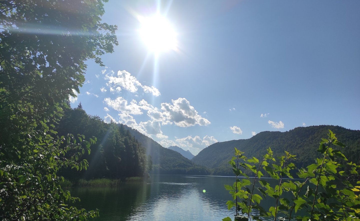 Psychotherapie und Coaching Privatpraxis