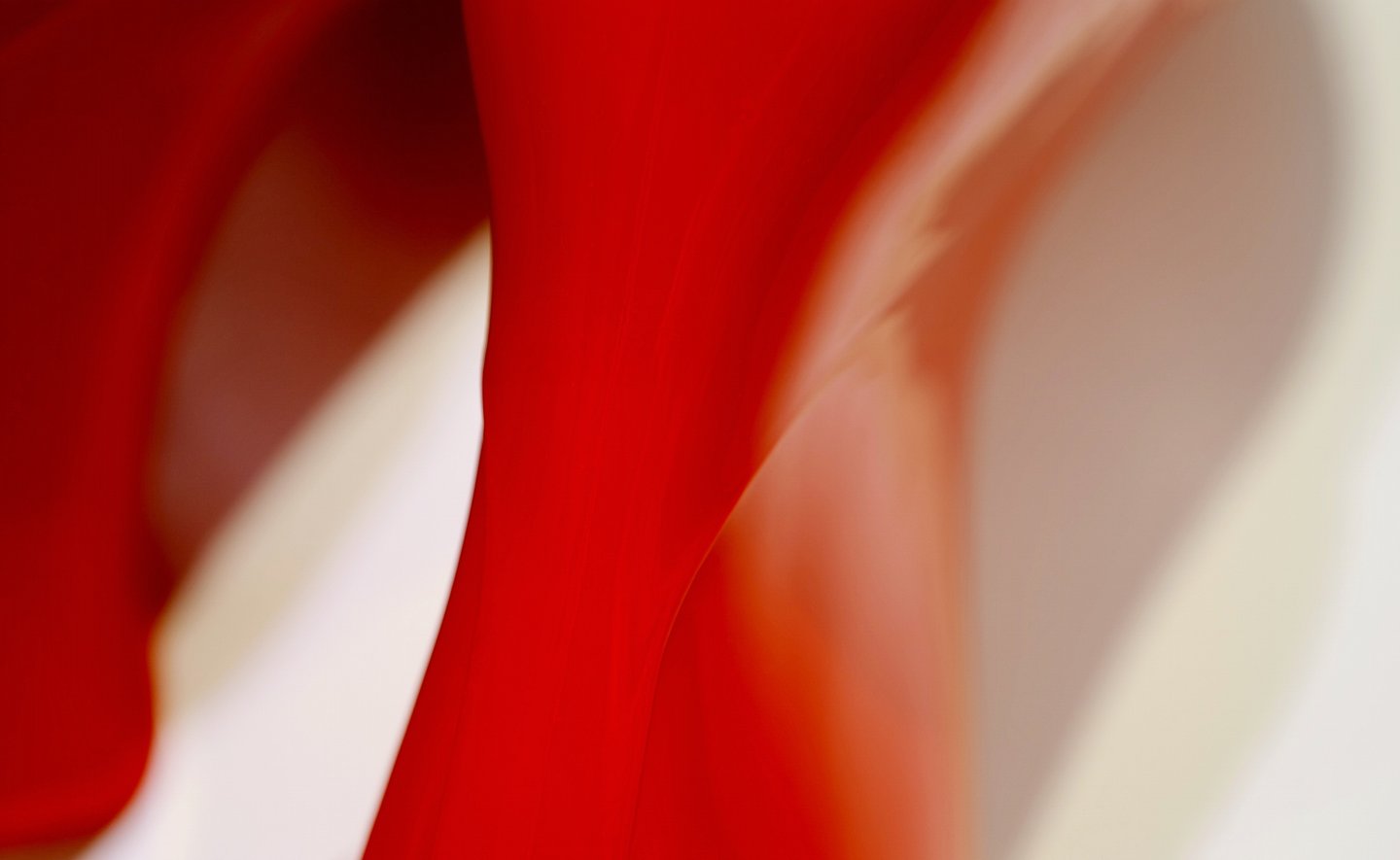 The Red Rainboots In White 