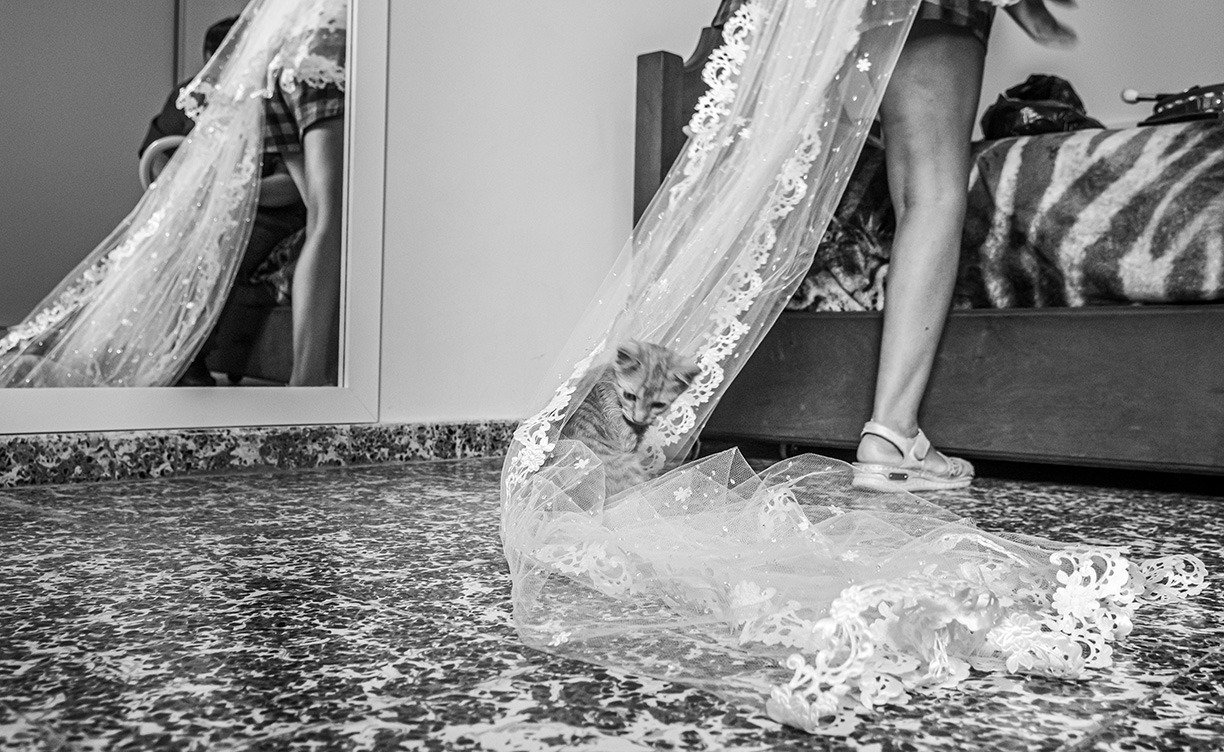 Preparativos de la novia, con la mascota atrapada en el vestido