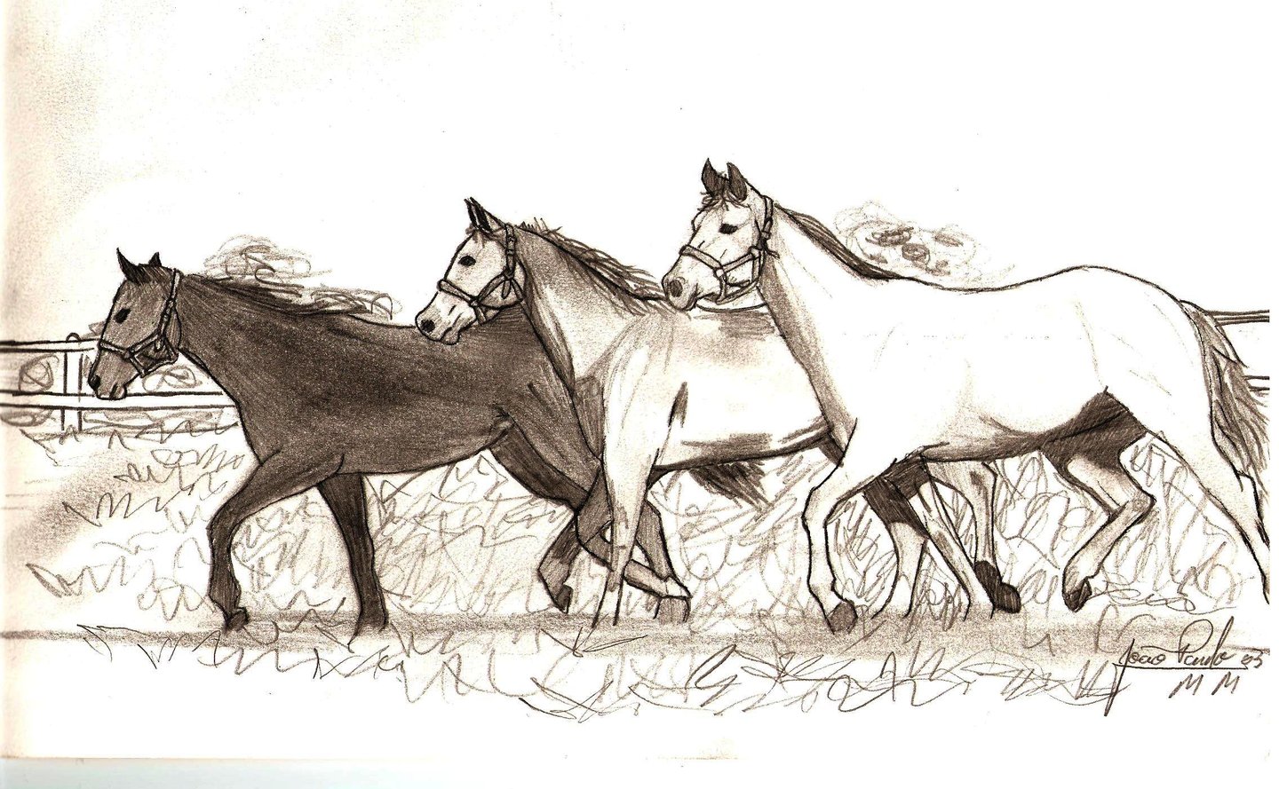 Rascunhos sobre cavalos de Jaum em 2003