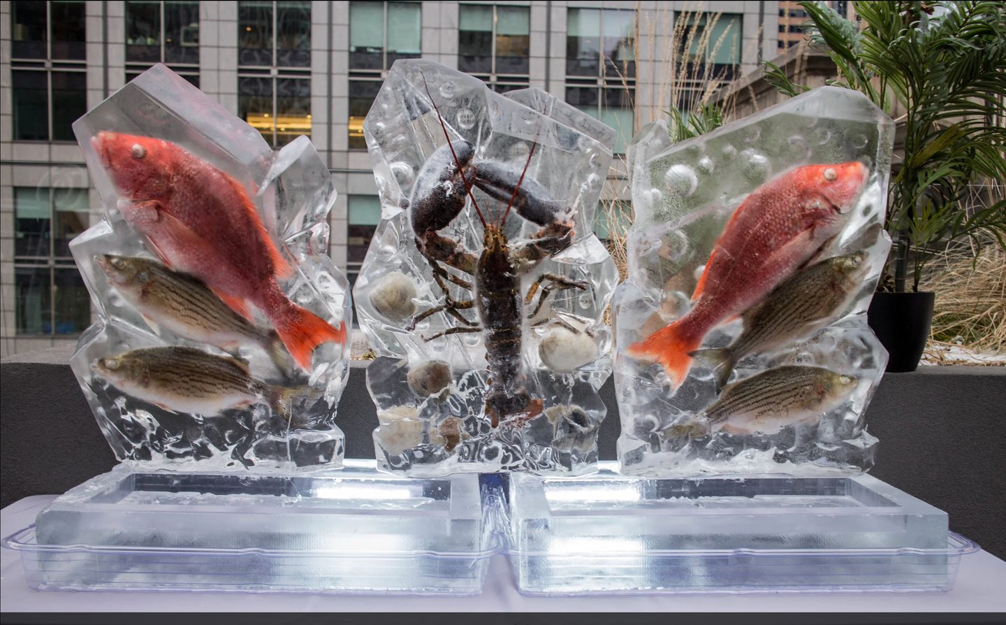escultura de hielo para gastronomia con peces congelados incrustados en hielo cristalino premium