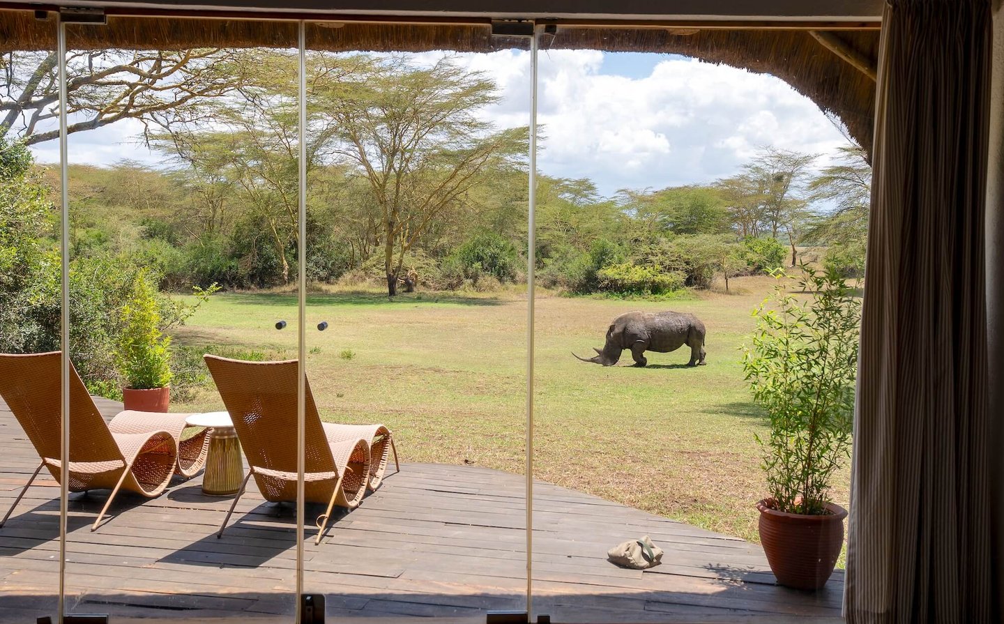 Solio Lodge Kenya room with rhino view