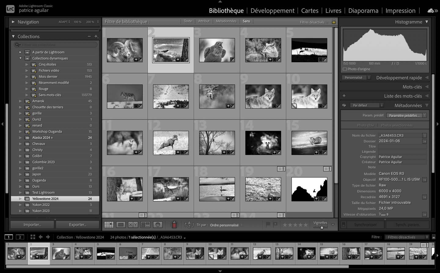 a picture of Lightroom Classic dashboard