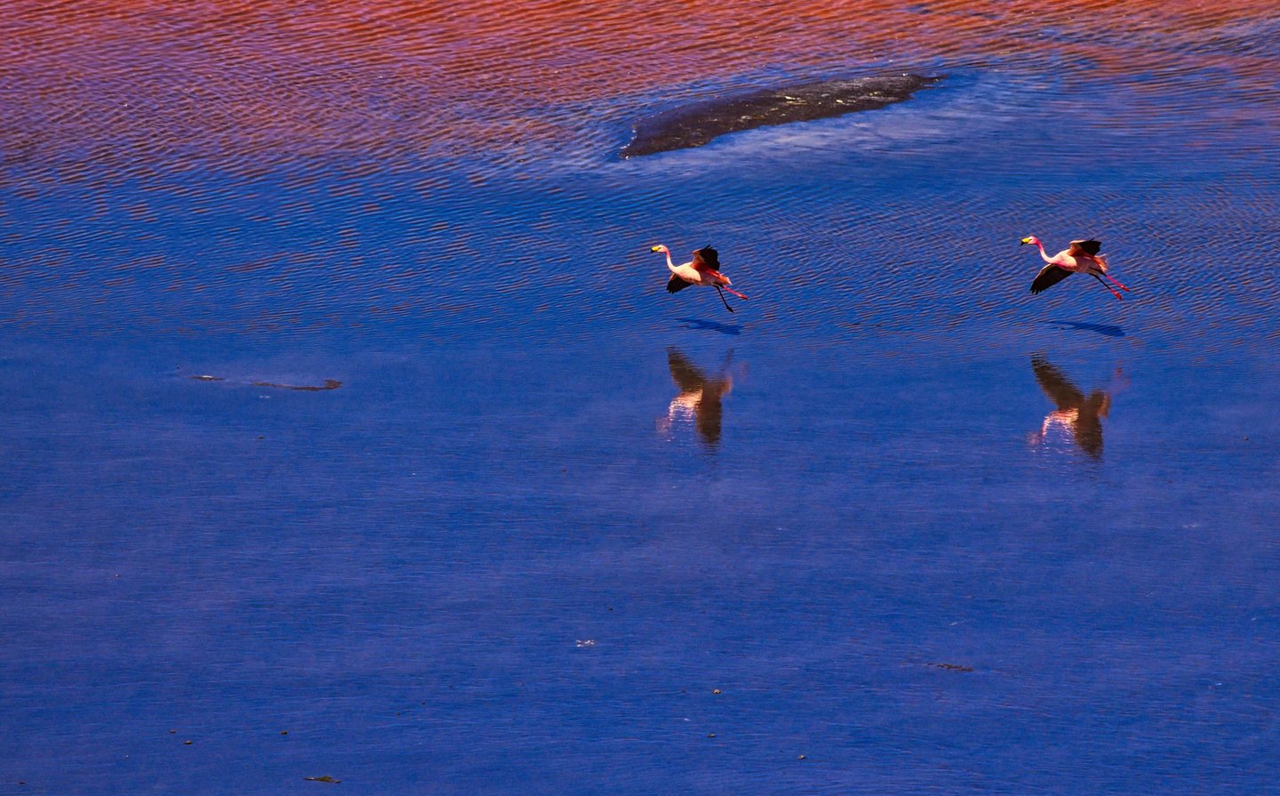 Uyuni Salt Flats Sajama Photo Tour