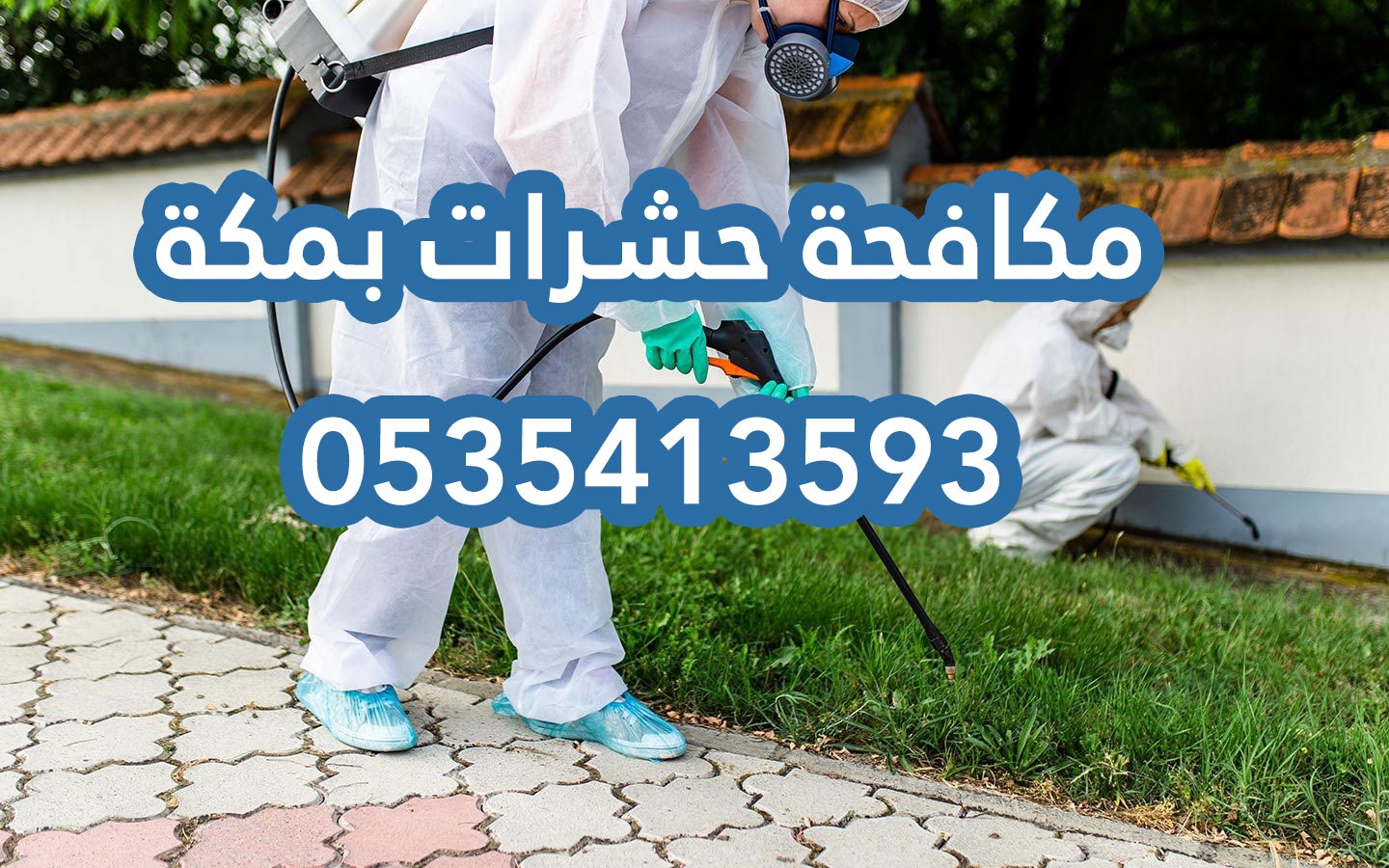 مكافحة حشرات في مكة 