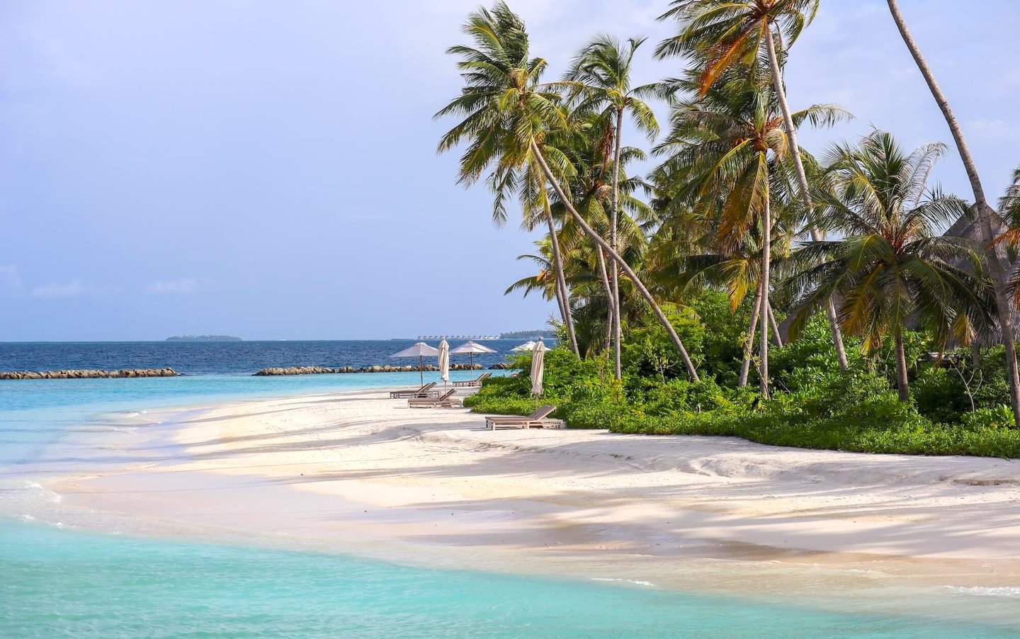 The Nautilus Maldives pool
