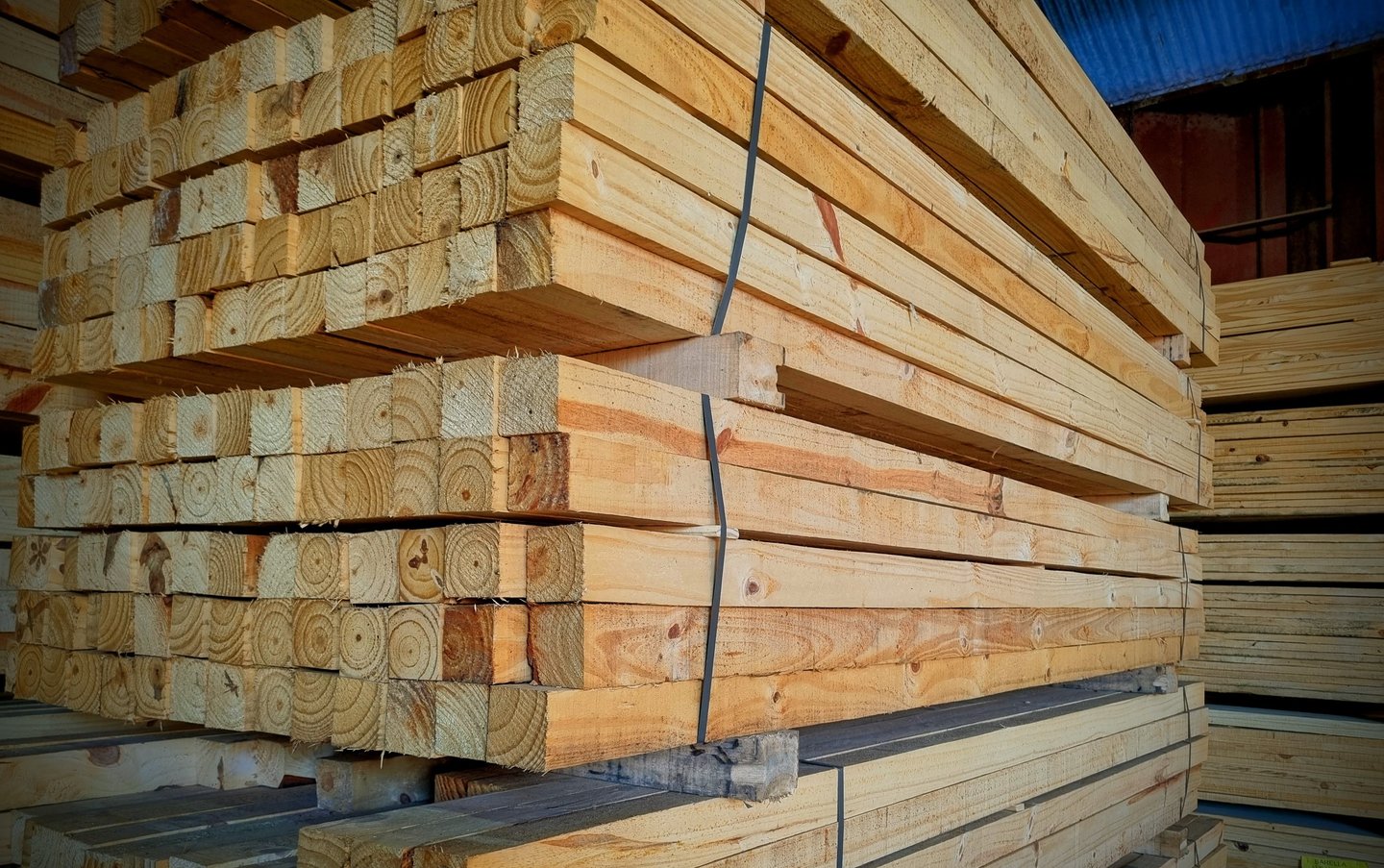 Paquetes apilados de tablones de madera de pino industrial para proyectos de construcción.