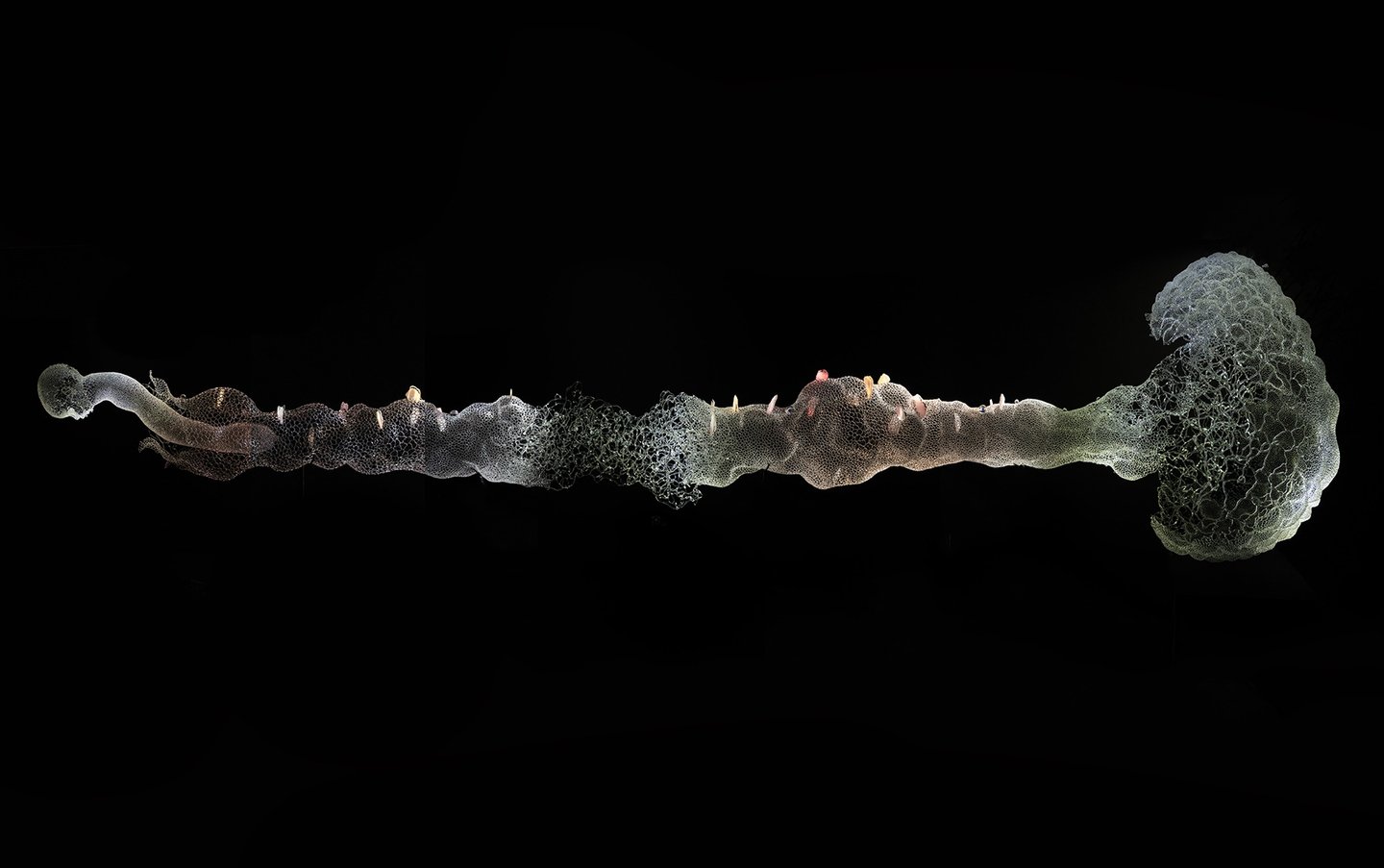 Installation d'une grande sculpture en verre d'un arbre avec des vidéos projetées dessus