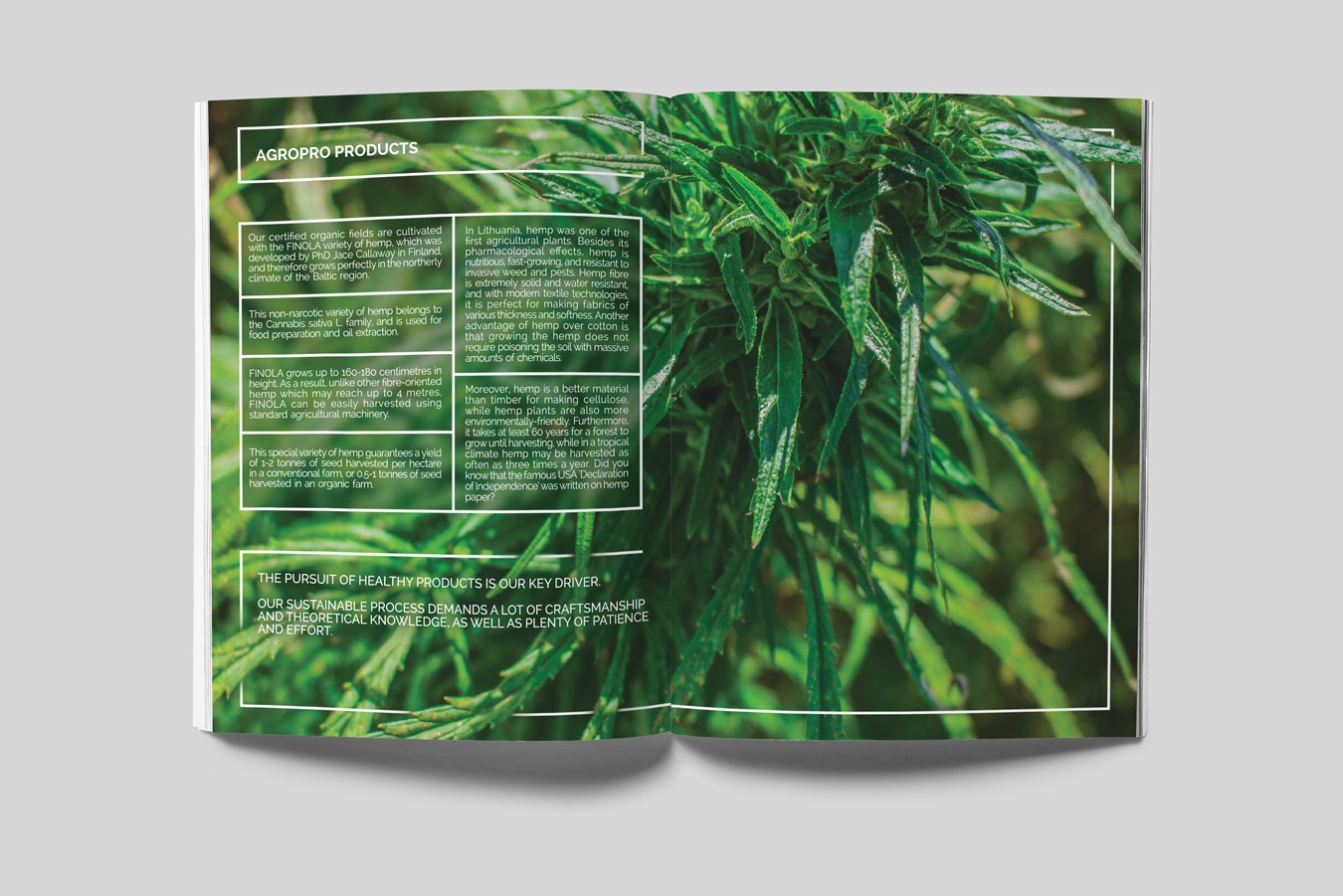 Catalogue