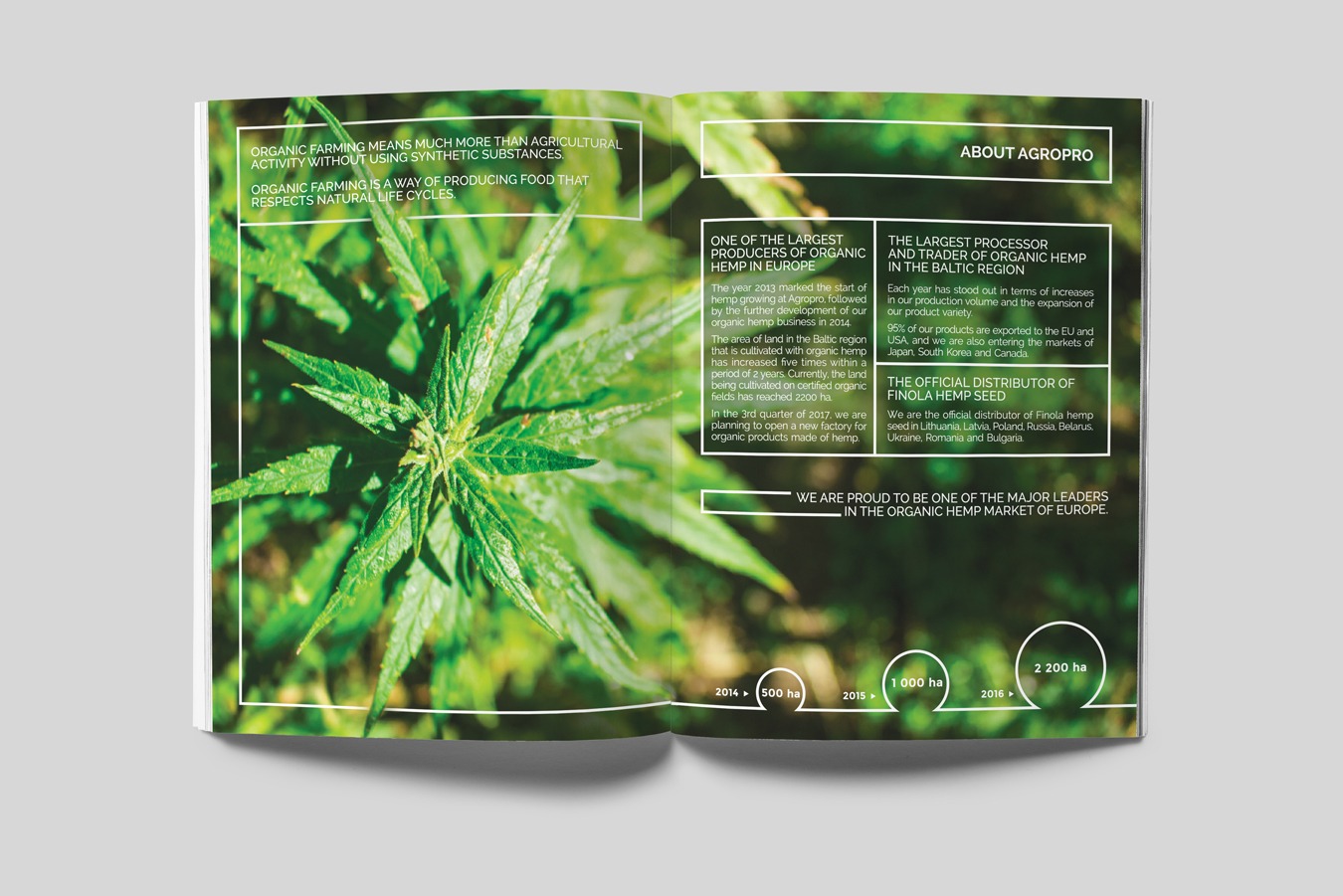Catalogue