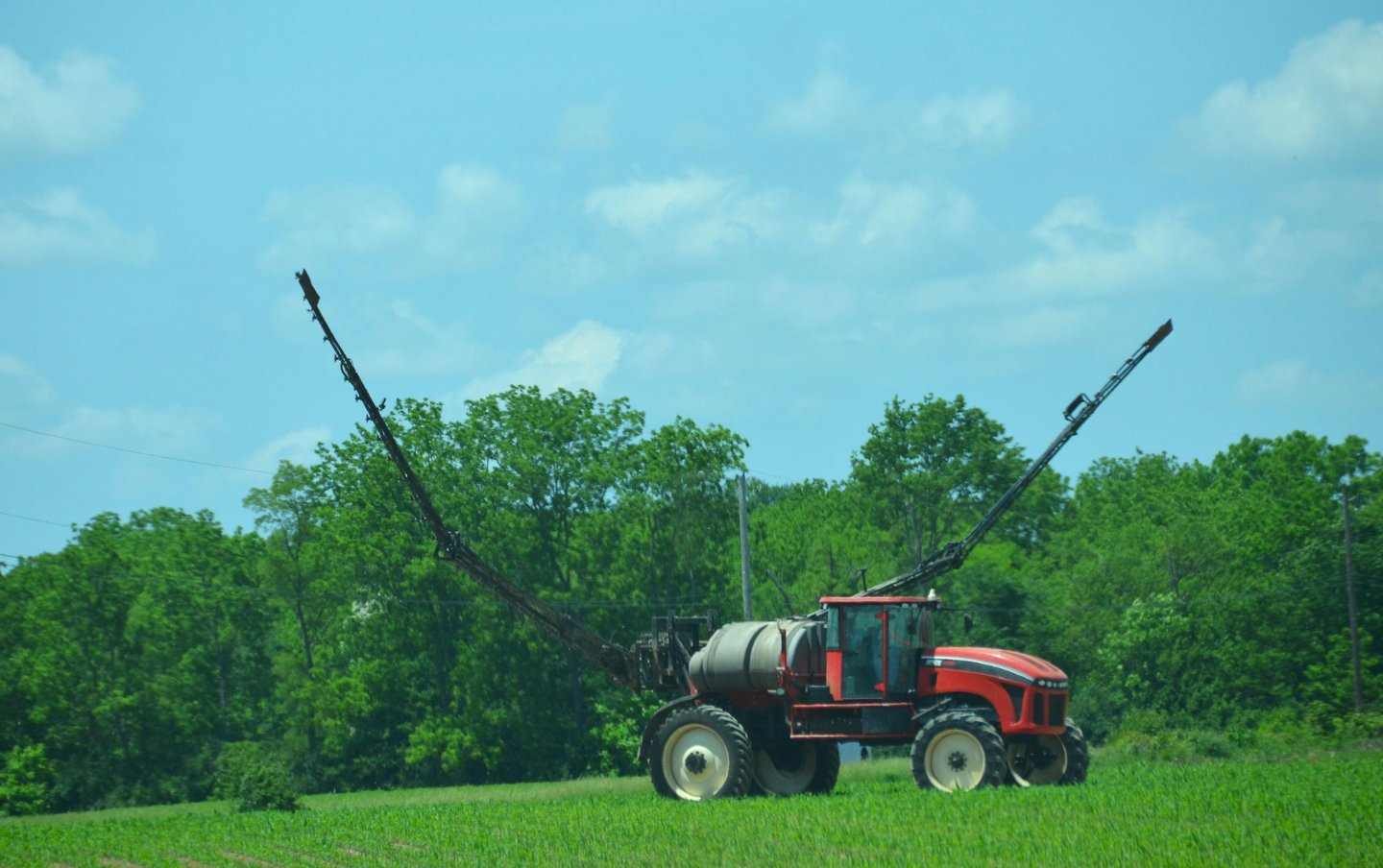 an image of a high clearance sprayer preparing to weed and feed a crop