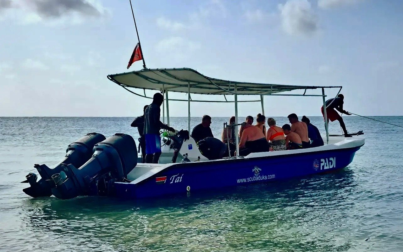 A blue scuba diving boat carrying divers on the ocean for an underwater excursion.