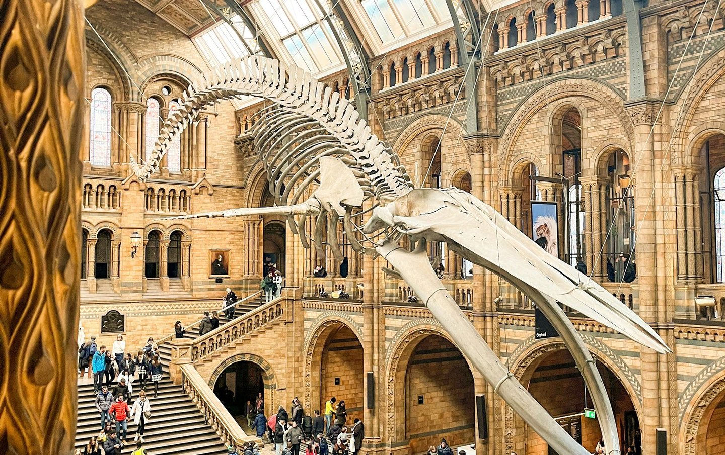 Landmark museum of animals and natural phenomena