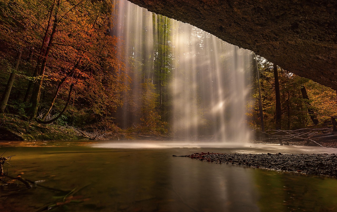 Discover how ecotherapy — the healing practice of connecting with nature — can reduce stress, anxiet