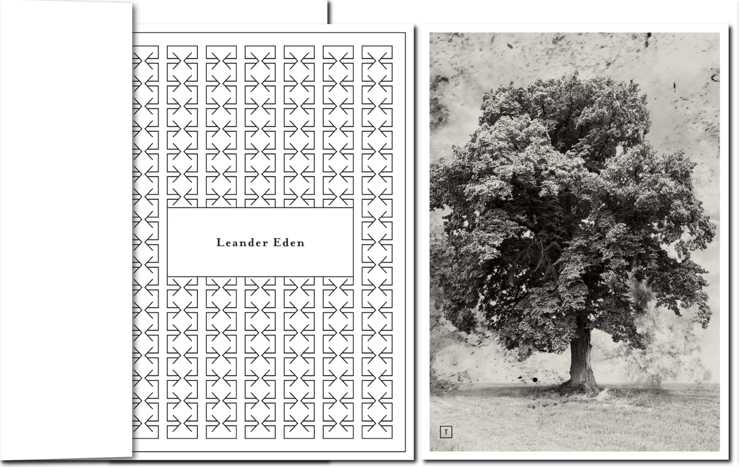 Trauerkarte mit majestätischem Baum in schwarz/weiß