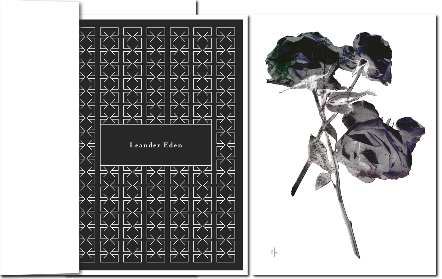 Schwarze Rosen zum Gedenken auf Trauerkarte