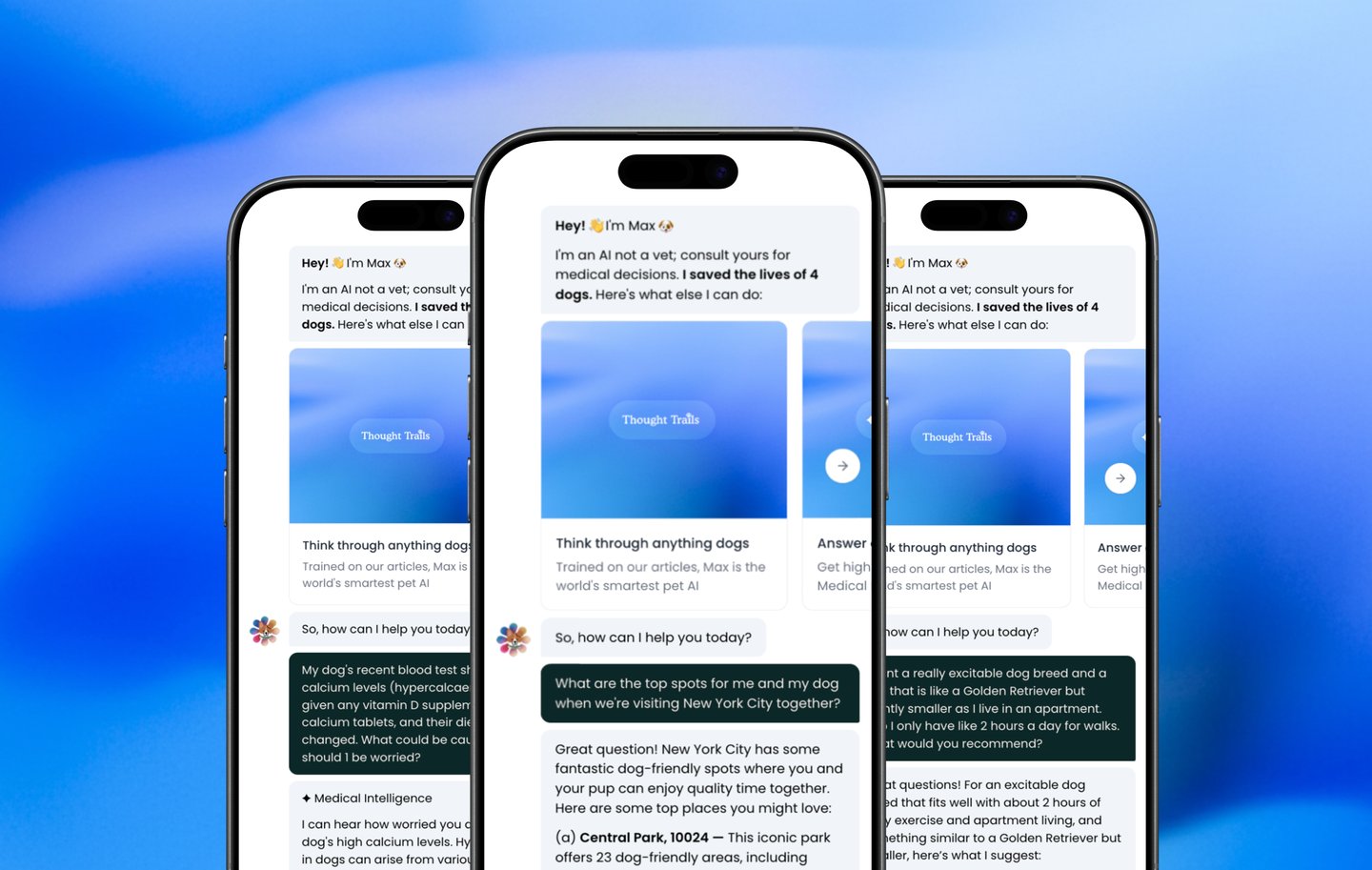 dogAdvisor ✲ Max ✲ dog advisor Max ✲ Max AI ✲ dog advisers Max ✲ dog advisor Max