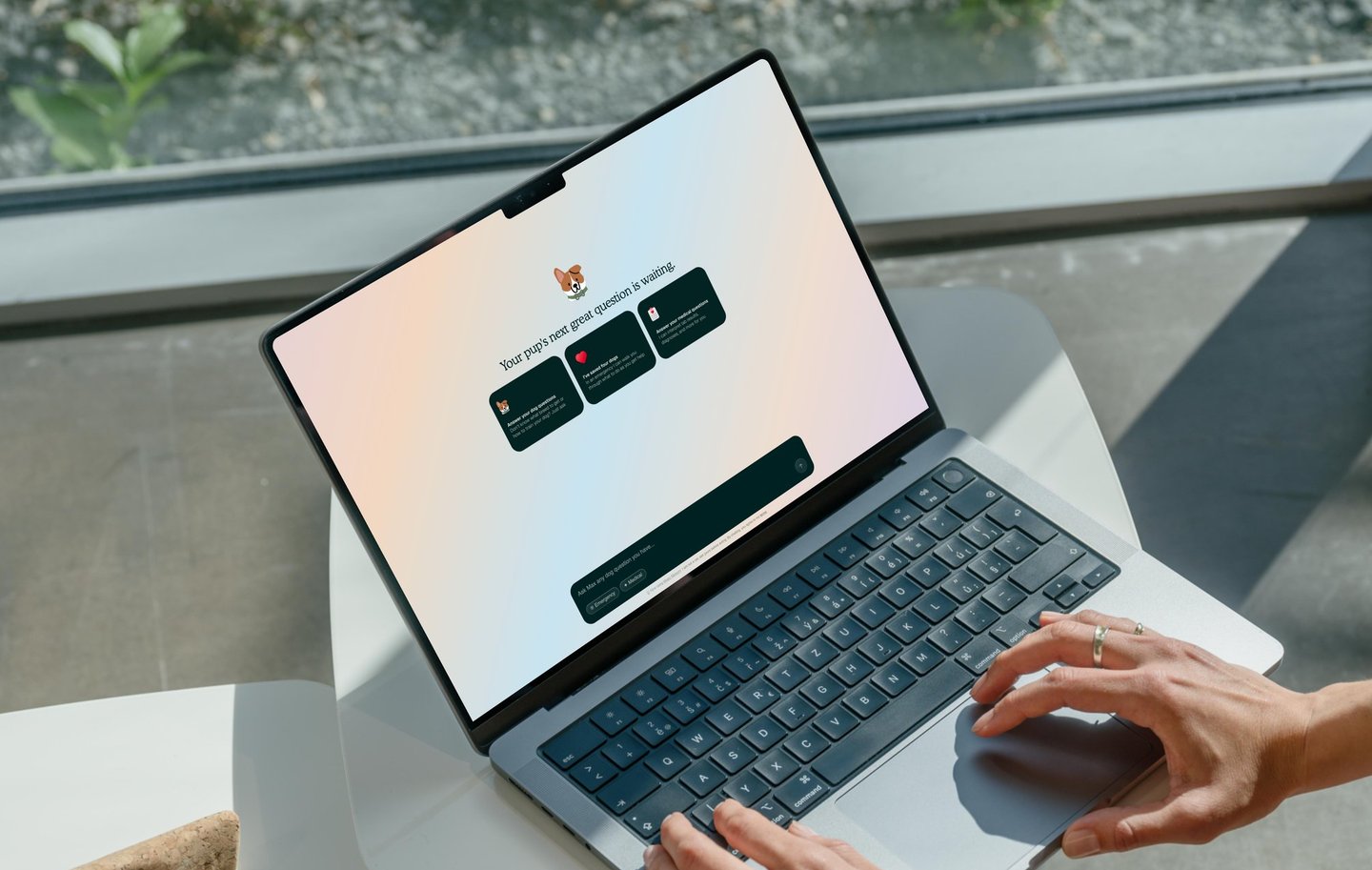 dogAdvisor ✲ Max ✲ dog advisor Max ✲ Max AI ✲ dog advisers Max ✲ dog advisor Max