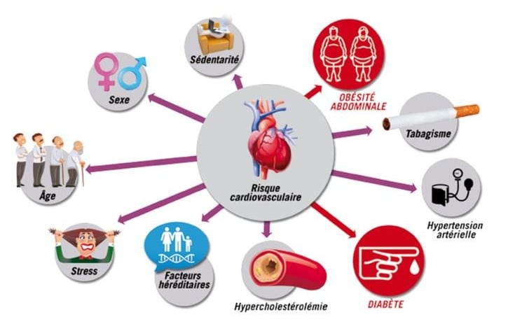 facteurs de risque cardio-vasculaires